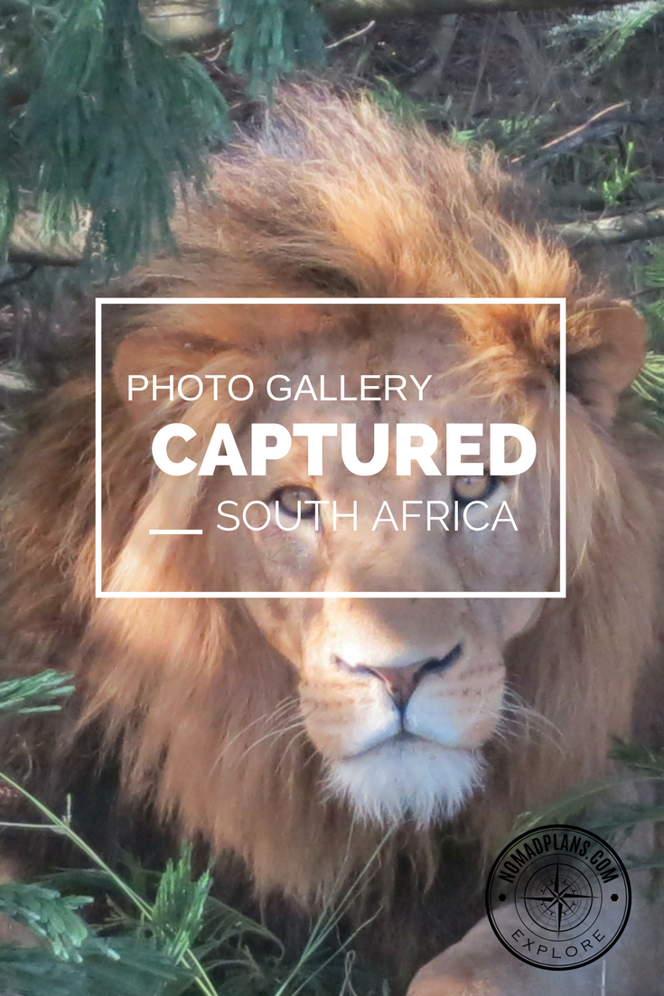 Photos of South Africa