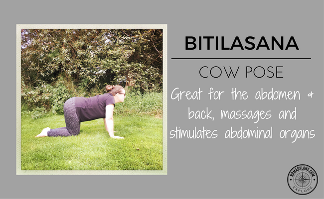 YOGA COW POSE