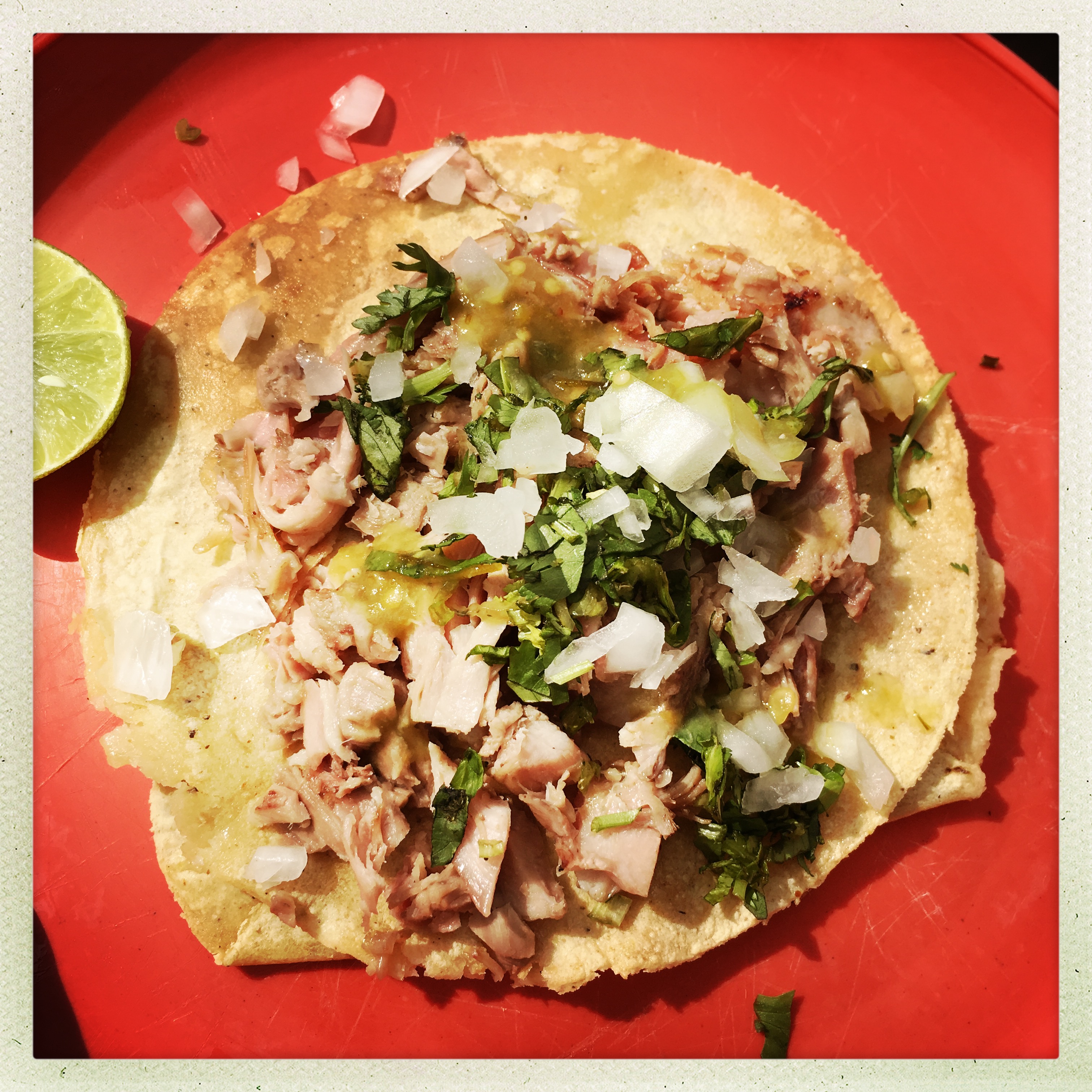 Taco Carnitas