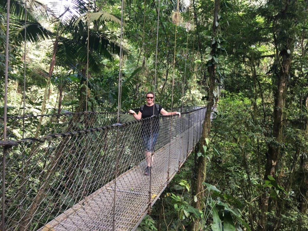 Hanging Bridge