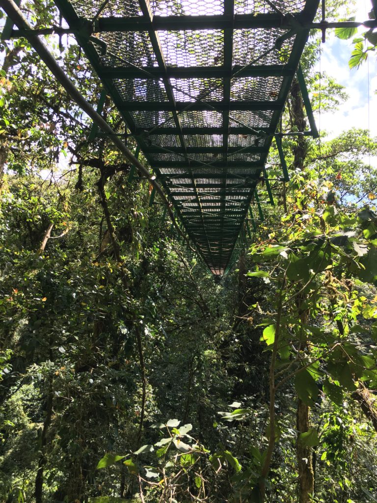 Hanging Bridges