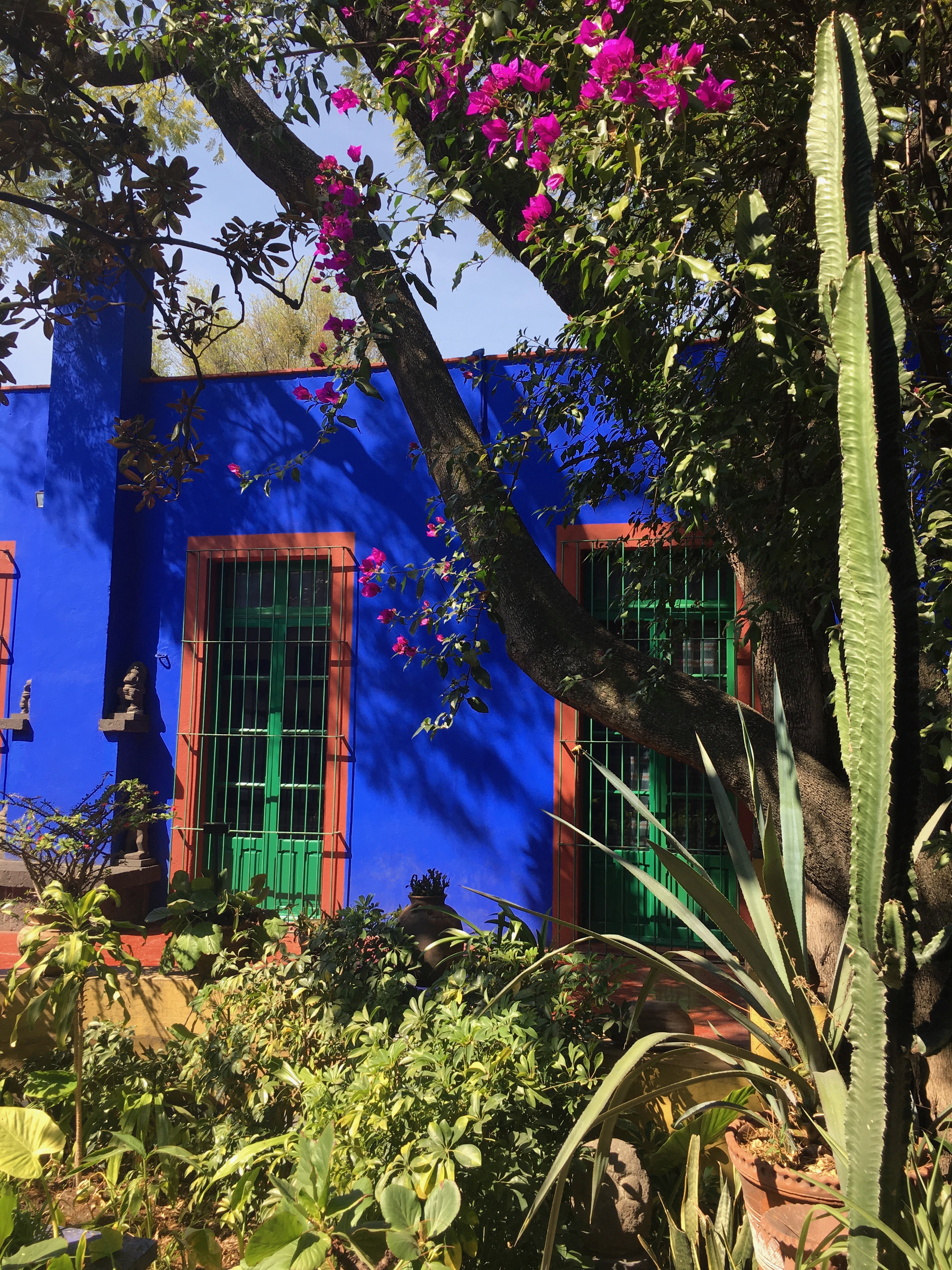 Gardens at the Blue House