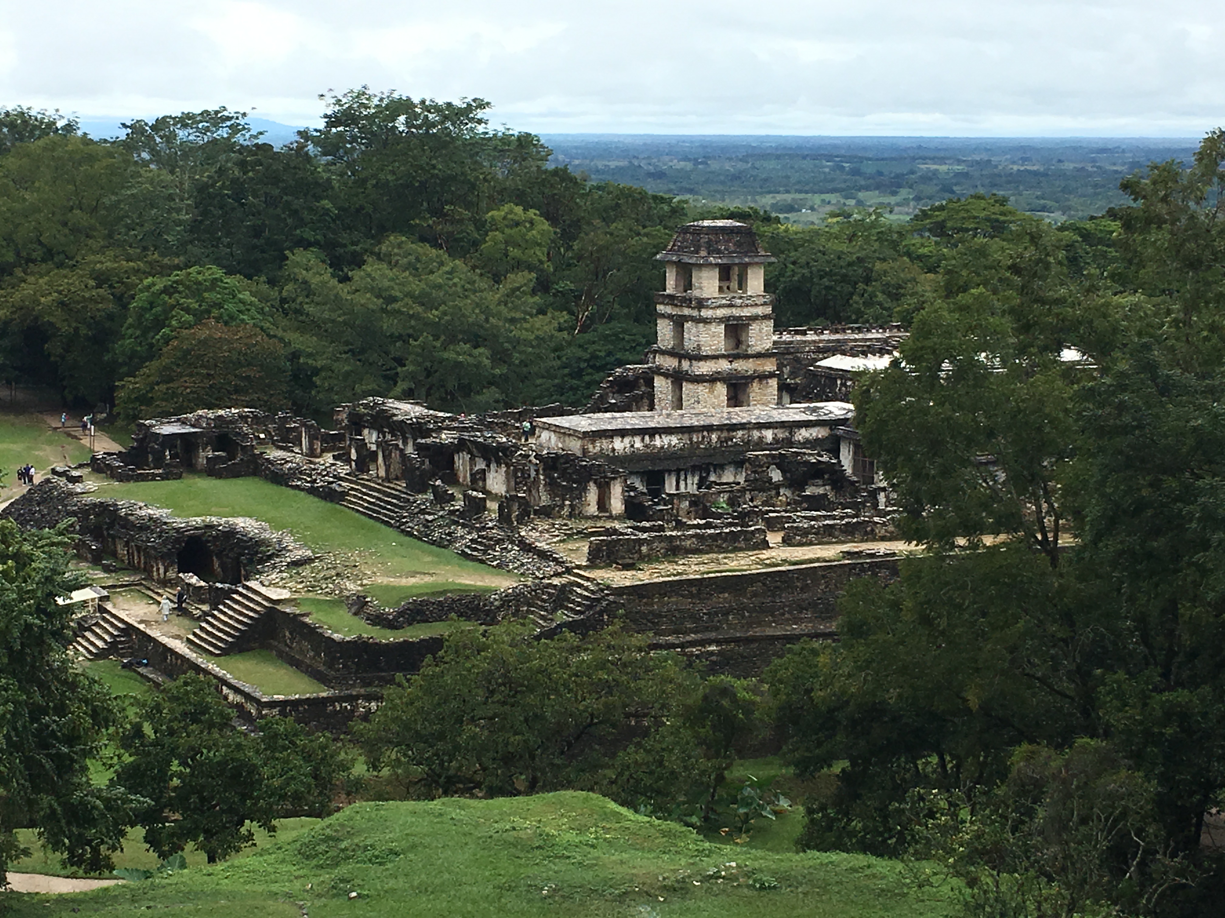 Palenque Ruins from the top