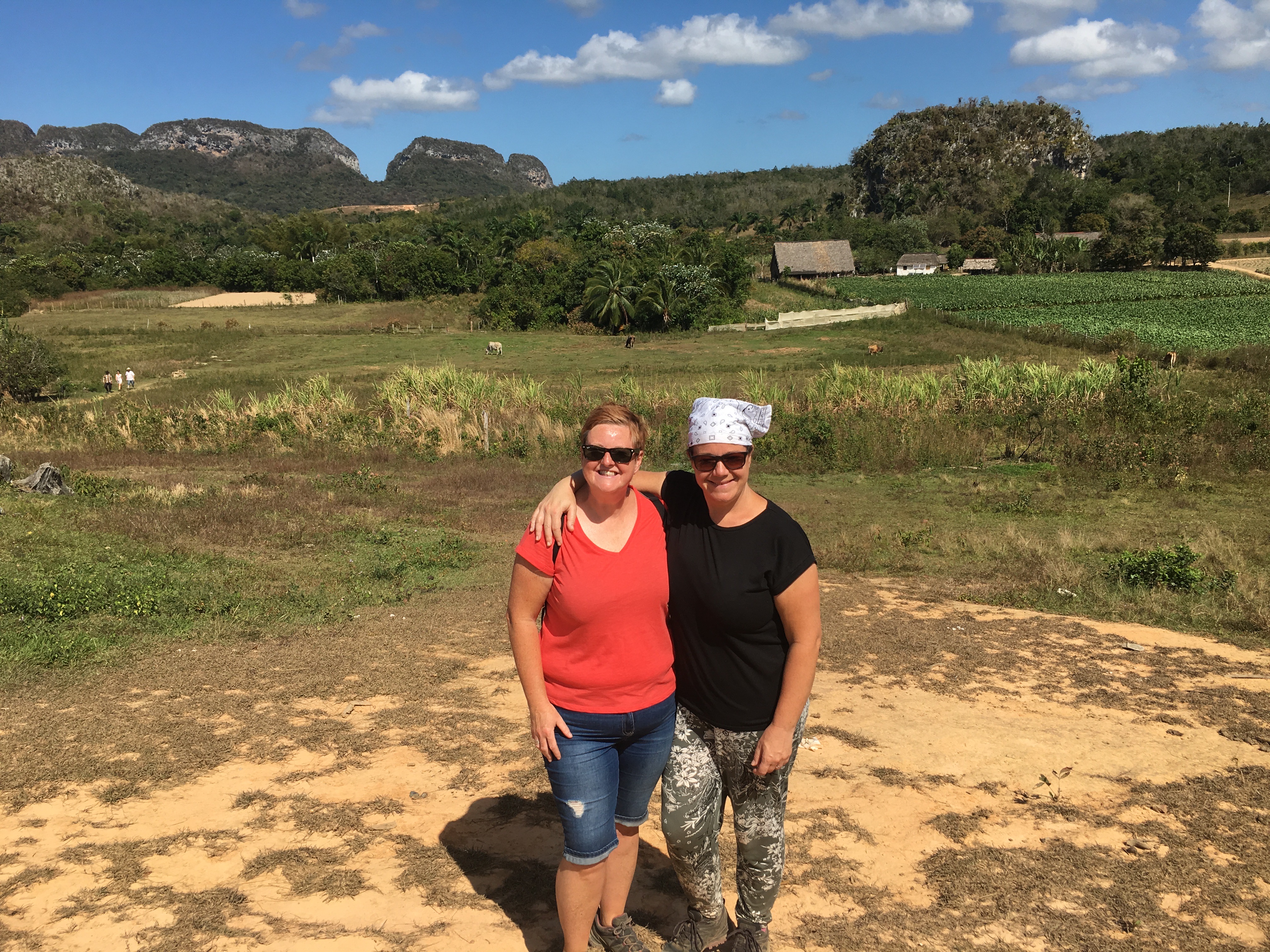 The stunning Viñales Valley