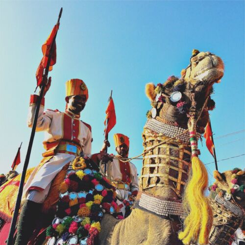 Jaisalmer Desert Festival Photos of India, Jaisalmer desert festival parade, man on camel