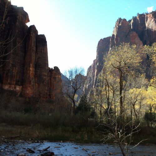 The Virgin River River and rock face in Zion NP