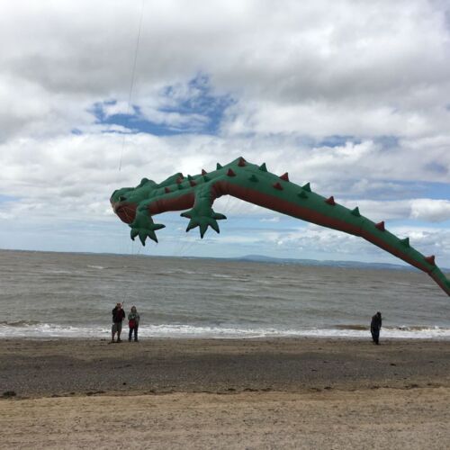 Catch the Wind Morecambe crocodile kite on the beach