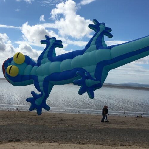 Catch the wind kite festival giant geko kite