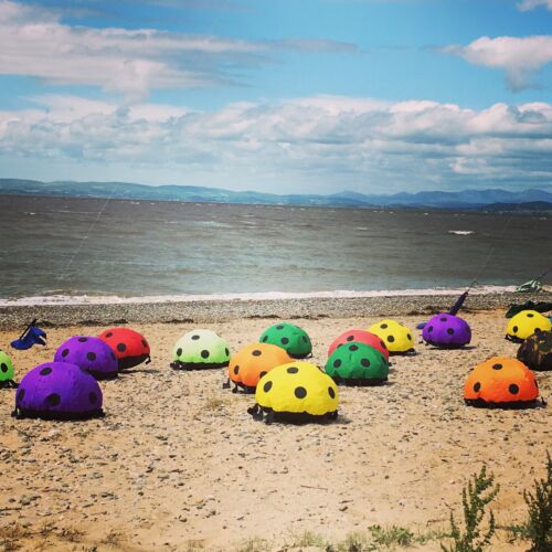 Catch the wind kite festival