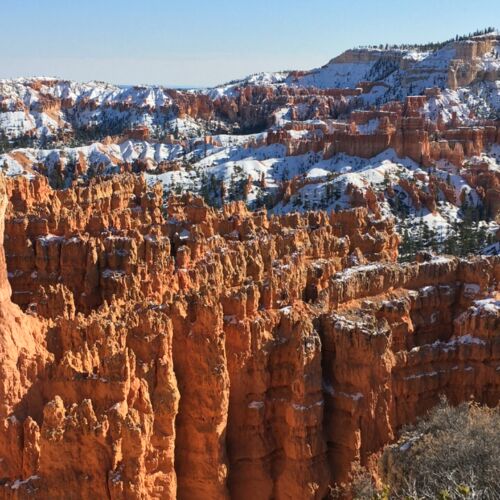 Bryce NP Sandstone at Bryce NP