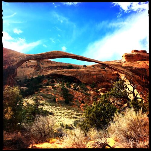 Landscape Arch, Arches NP A natural arch created by nature with shrubs
