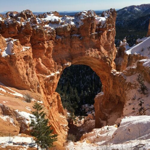 Natural Bridge, Bryce NP Bridge shaped arch made of sandstone