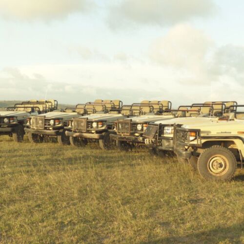 Lalibela Game Reserve game drive jeeps