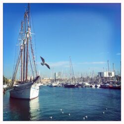 The waterfront, Barcelona, yachts and seagulls