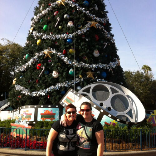 Disney's Hollywood Studios Disney's Hollywood Studios