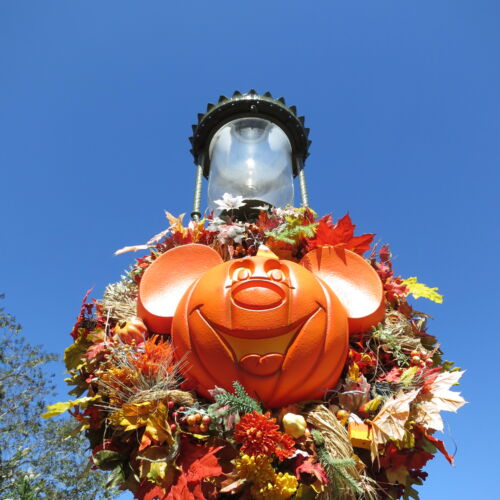 Magic Kingdom at Halloween Magic Kingdom at Halloween