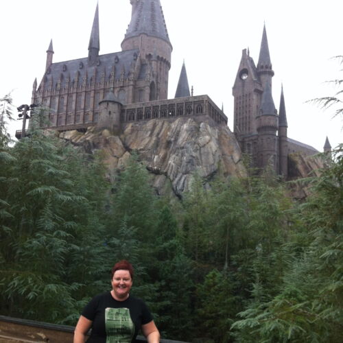 The wizarding world of Harry Potter The wizarding world of Harry Potter