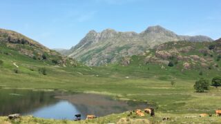 Blea Tarn, Langdales Blea Tarn, Langdales