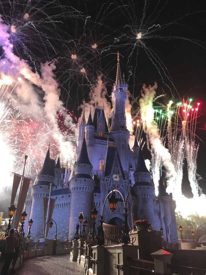 Top Disney World Rides, after 6 visits which are our favourites?