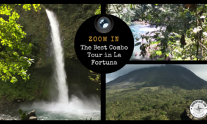 Rainforest Explorers, The best Combo Tours in La Fortuna