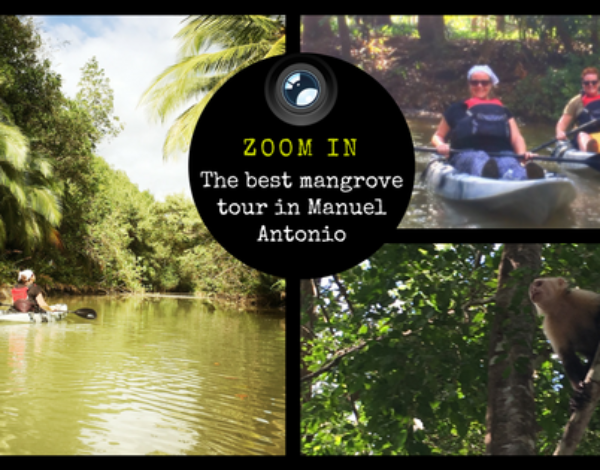 Best Mangrove Tour In Manuel Antonio